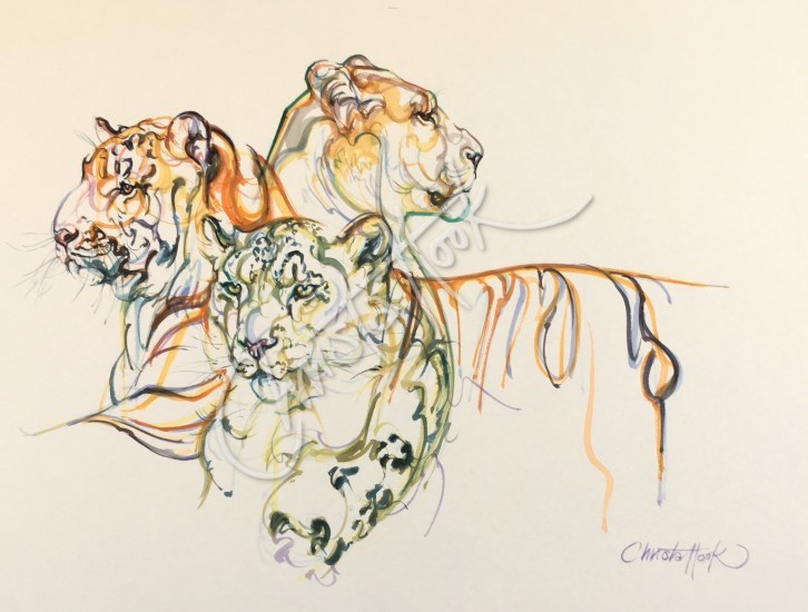Three Lives